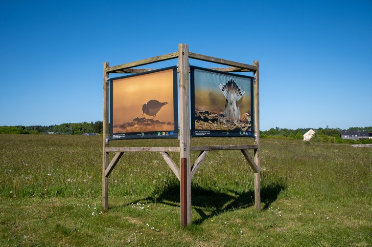 Copyright M. Noëson